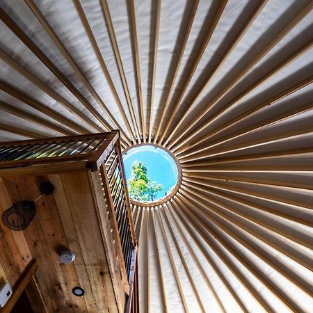 Yourtes Glamping Du Poisson Blanc Notre-Dame-du-Laus Exterior foto